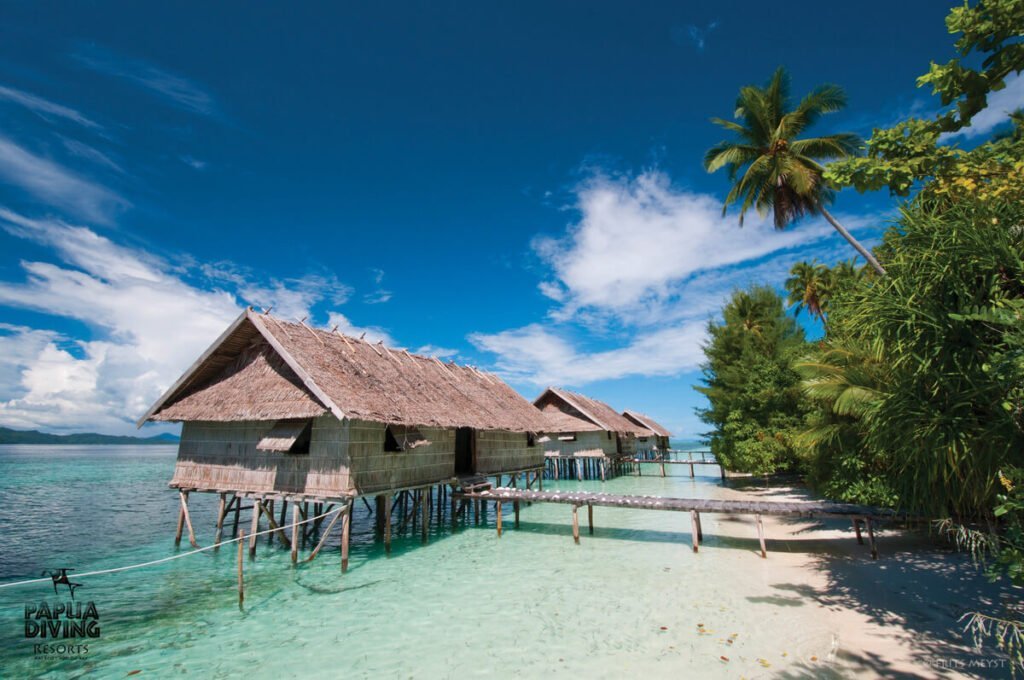 wisata_raja_ampat.jpg
wisata_raja_ampat_dimana.jpg
wisata_raja_ampat_terletak_di.jpg
wisata_raja_ampat_berada_di.jpg
wisata_raja_ampat_adalah.jpg
wisata_raja_ampat_di_daerah_mana.jpg