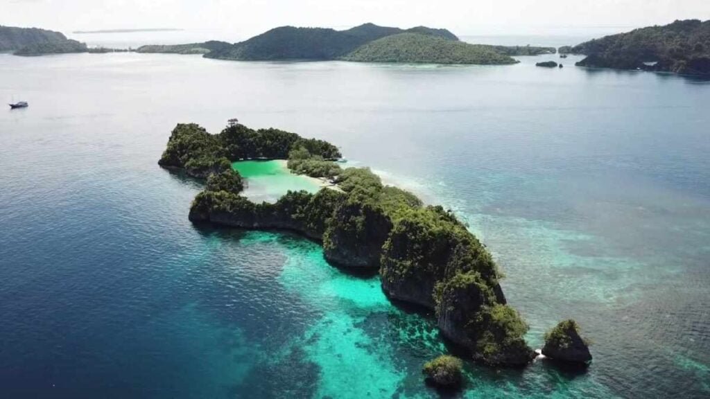 wisata_raja_ampat.jpg
wisata_raja_ampat_dimana.jpg
wisata_raja_ampat_terletak_di.jpg
wisata_raja_ampat_berada_di.jpg
wisata_raja_ampat_adalah.jpg
wisata_raja_ampat_di_daerah_mana.jpg