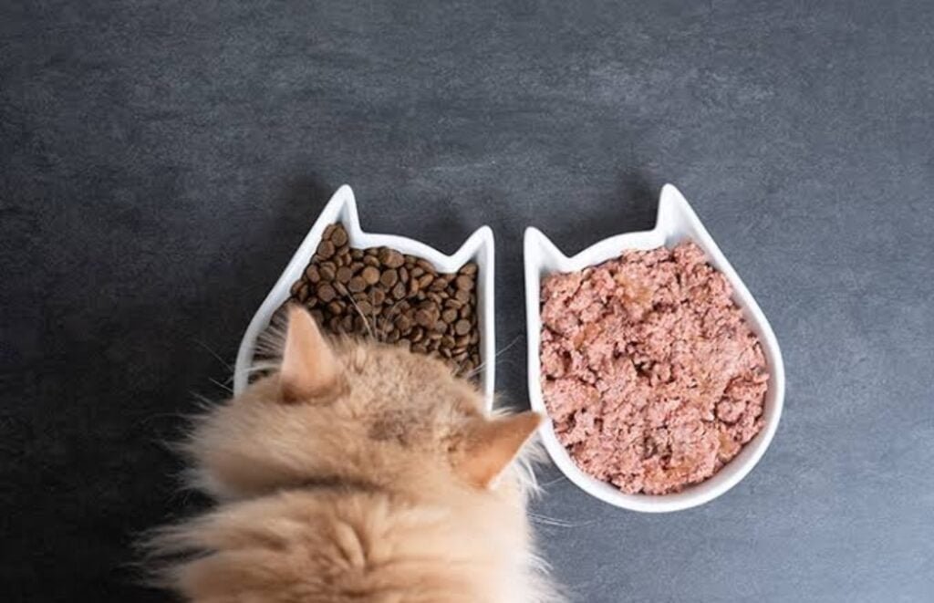 makanan_kucing_persia.jp
makanan_kucing_persia_peaknose.jpg
makanan_kucing_persia_umur_2_bulan.jpg
makanan_kucing_persia_medium.jpg
makanan_kucing_persia_buatan_sendiri.jpg
makanan_kucing_persia_kitten.jpg
makanan_kucing_persian.jpg
makanan_kucing_persia_terbaik.jpg