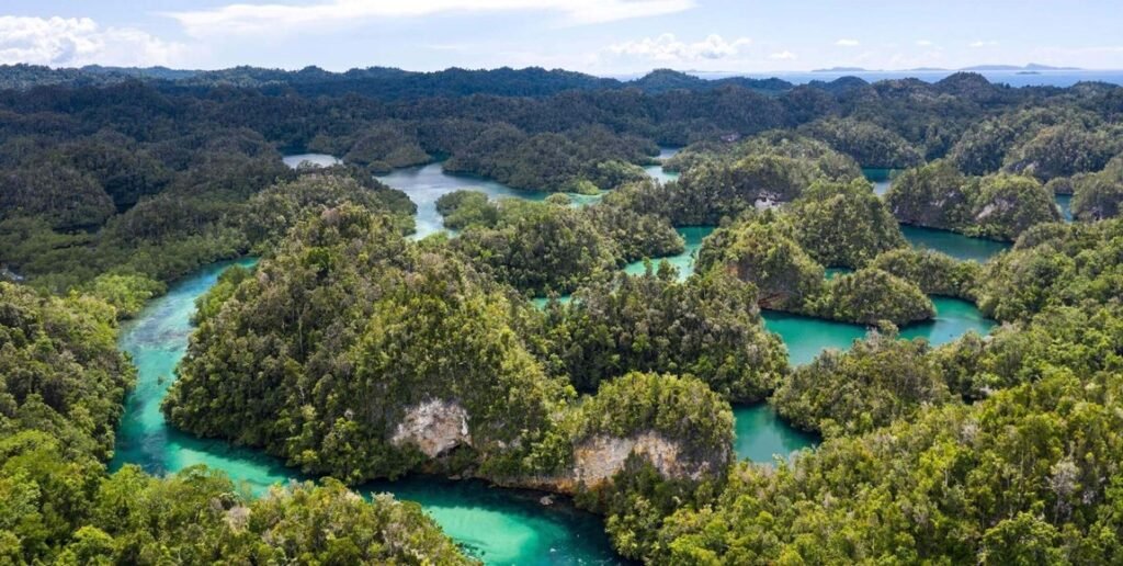 wisata_raja_ampat.jpg
wisata_raja_ampat_dimana.jpg
wisata_raja_ampat_terletak_di.jpg
wisata_raja_ampat_berada_di.jpg
wisata_raja_ampat_adalah.jpg
wisata_raja_ampat_di_daerah_mana.jpg